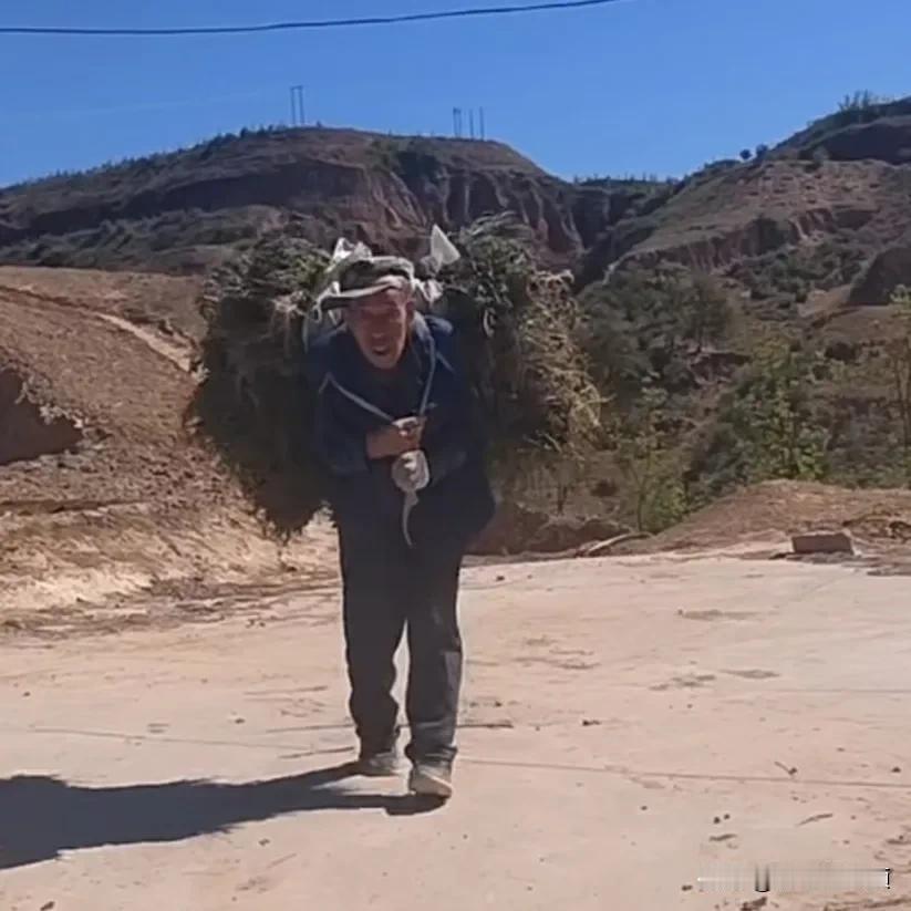 青山不老我不闲
一生忙碌为油盐
凤凤雨雨几十年
尾句……岁月沧桑梦己荒 诗遇良朋