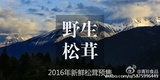 豆豆包爱读生活服务