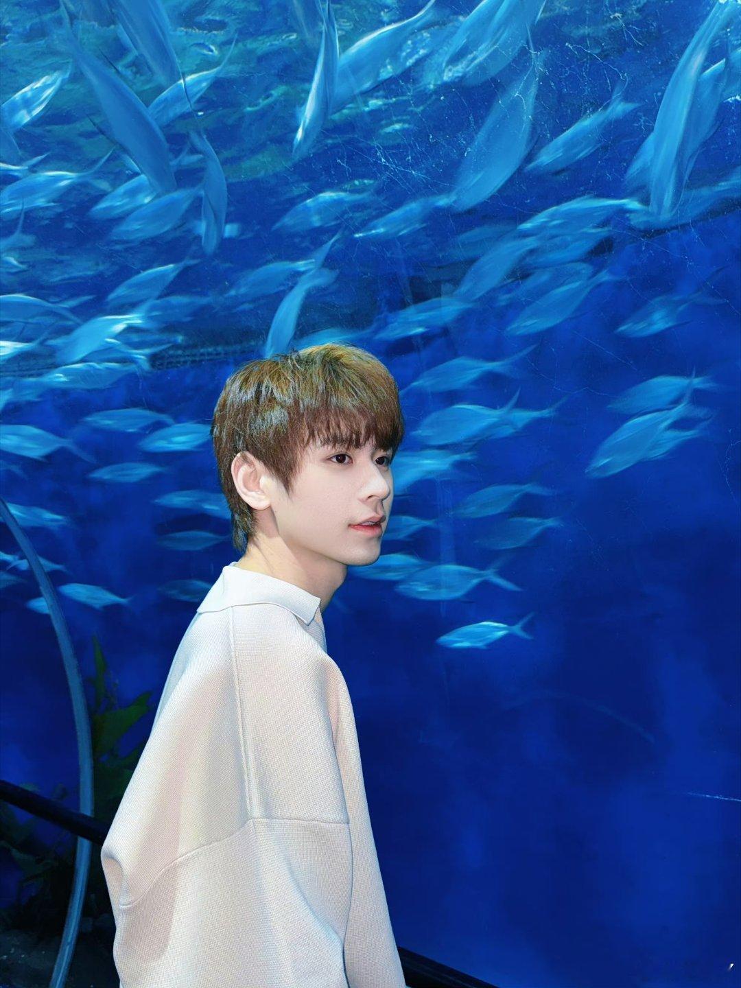 无畏NoFear 🍑心光自为引多远都无畏 远大前程，星光万顷，你向北向南向西向