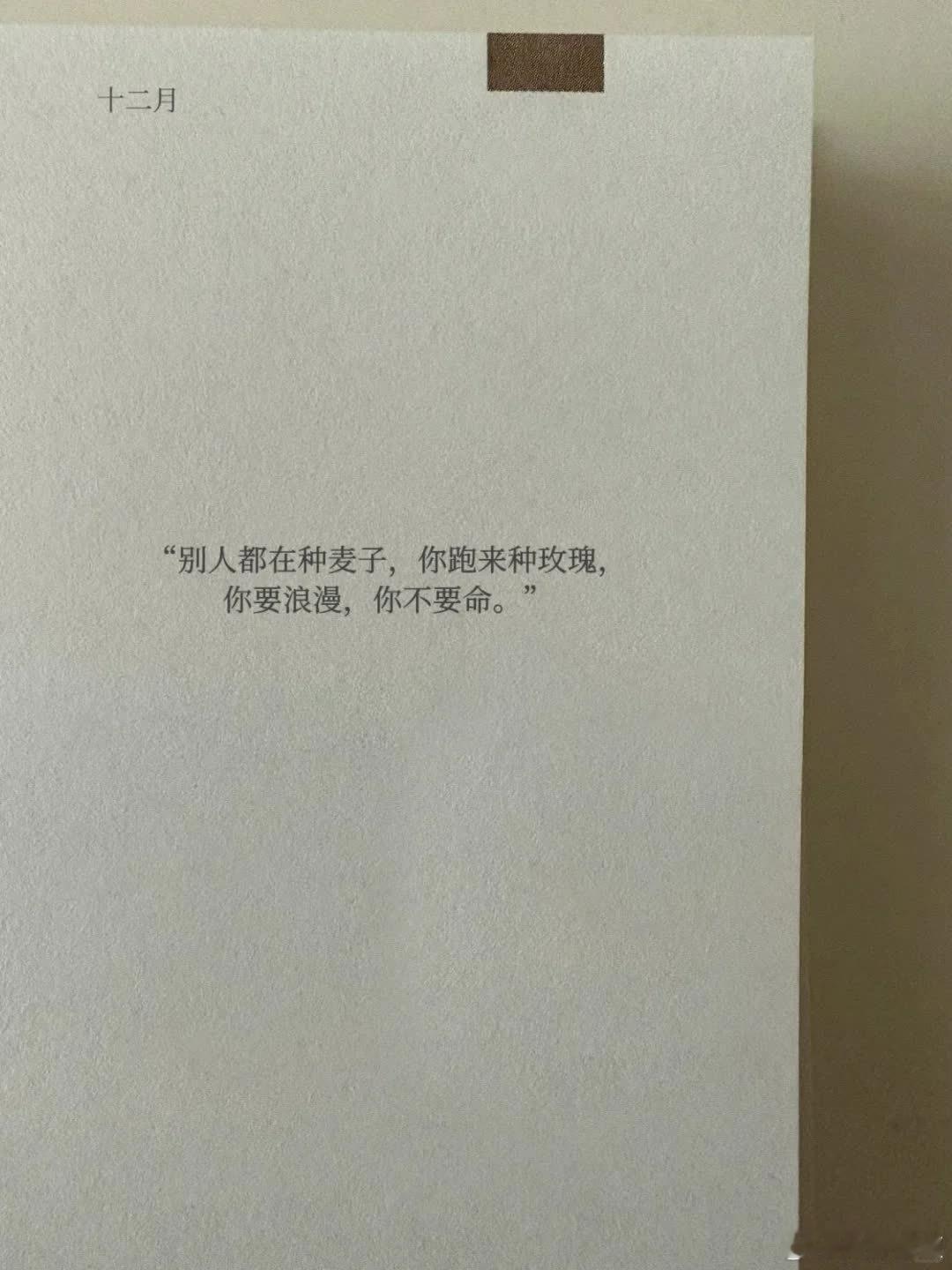 “爱不适合娇惯者，爱适合战士” 