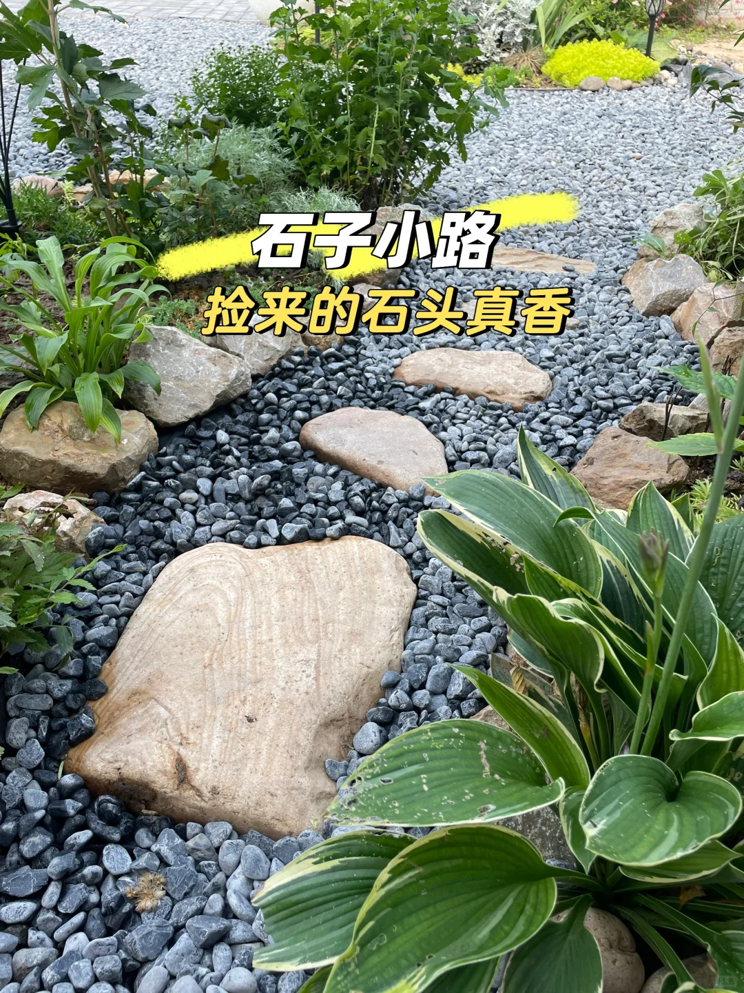 刚刚😍把花池一分为二，又开辟一条石子小路