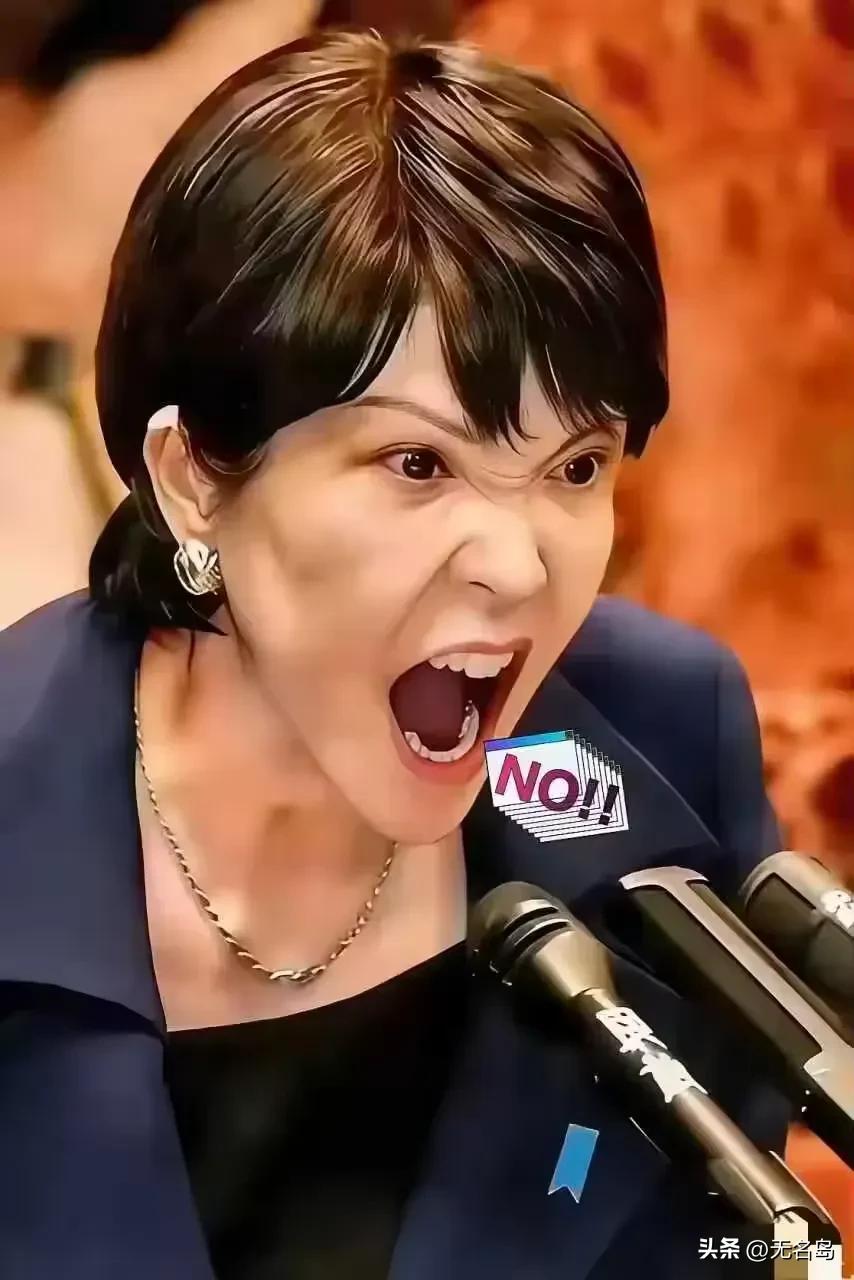 美日传来新消息！
3月19日，日美签署协议，对稀土、锂、镓加征关税，妄图围堵东方