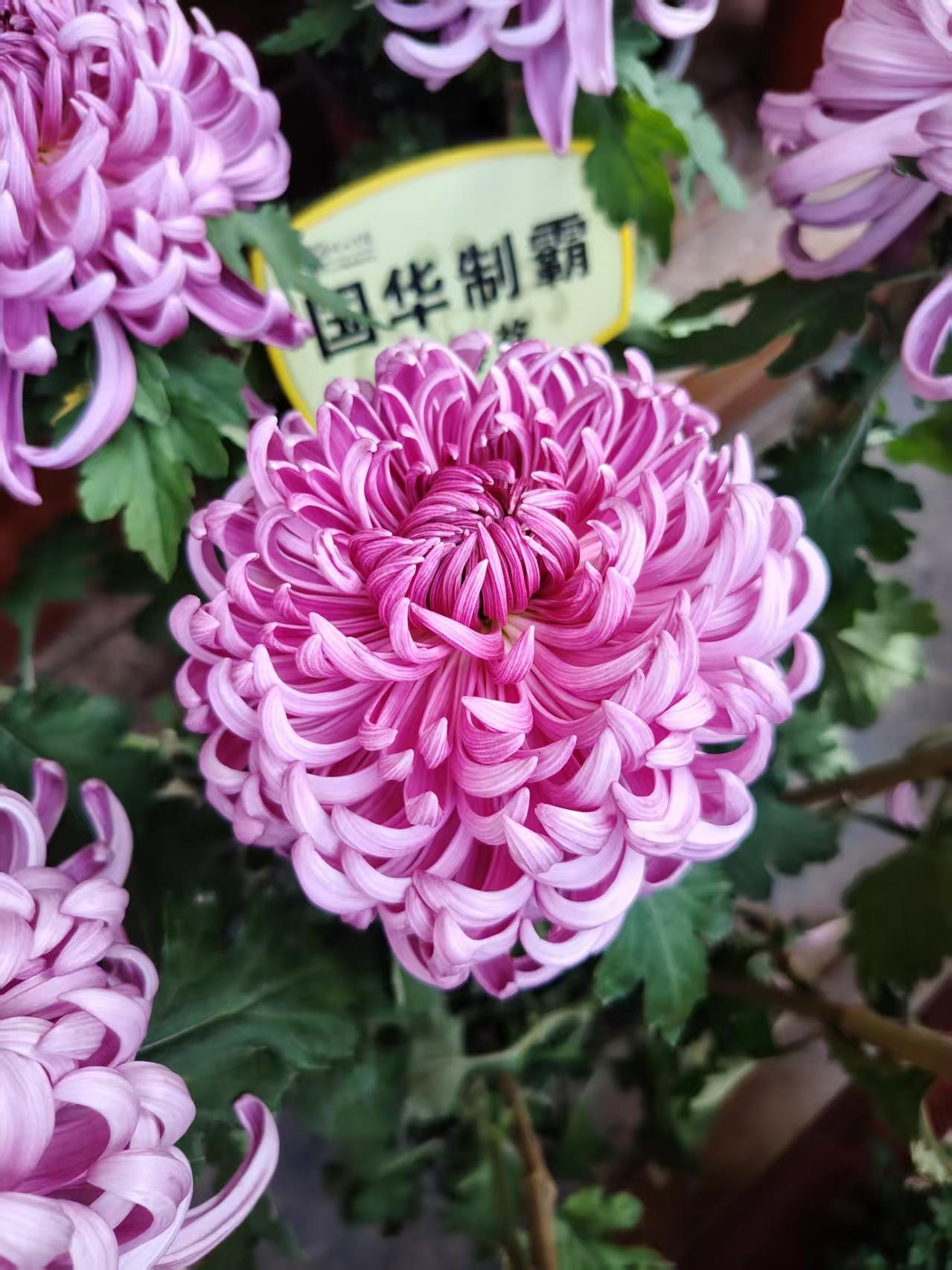 怎么样让自己保持快乐的心情保持快乐的心情可以从，每天列出几件让自己开心的事情。其