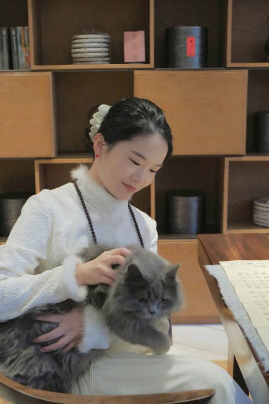 在“猫猫山”做护法使者，为自家毛孩攒功德