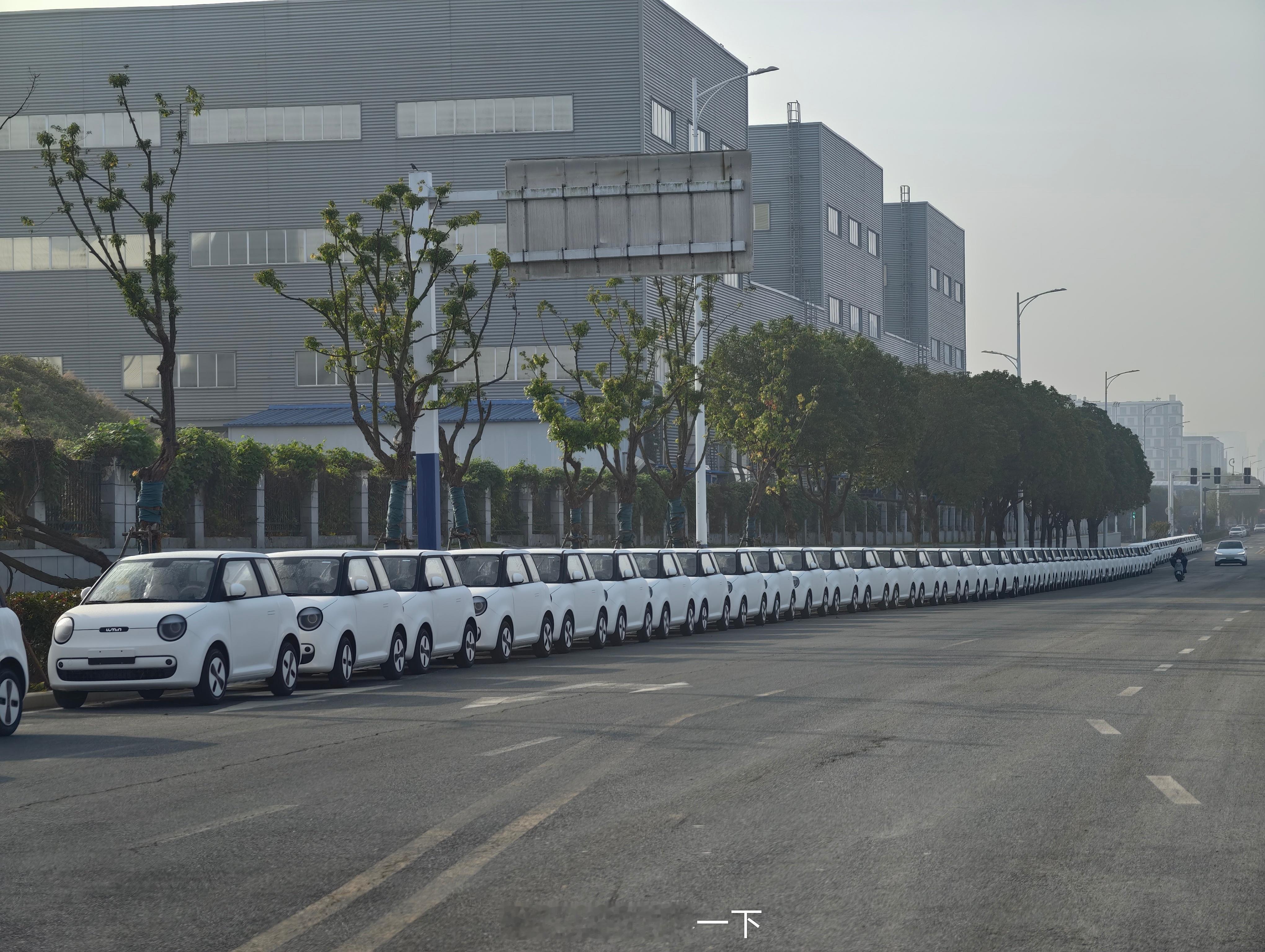 早鸭！合肥长安工厂附近，来吧，来感受邪恶糯玉米支配的恐怖吧