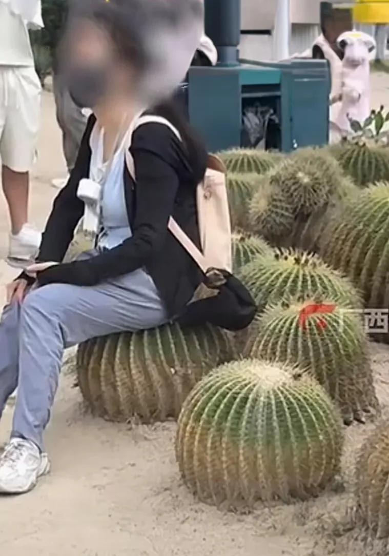 女游客被指“无敌铁腚”，坐仙人球上小憩！

10 月 4 日，福建厦门植物园内，