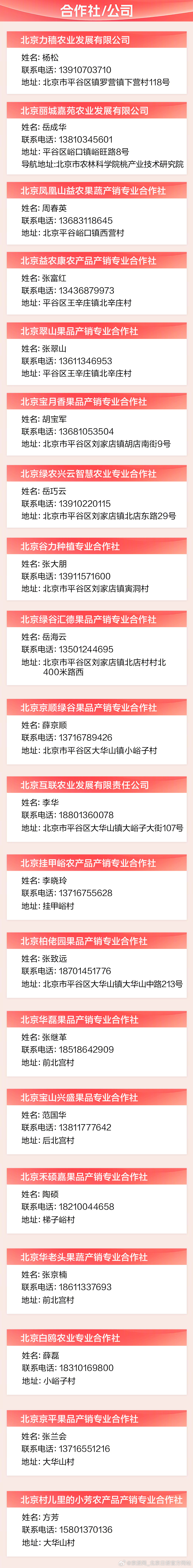 【#北京平谷大桃上链接了# 】#北京暴雨后平谷大桃恢复上市# 眼下正值平谷大桃集