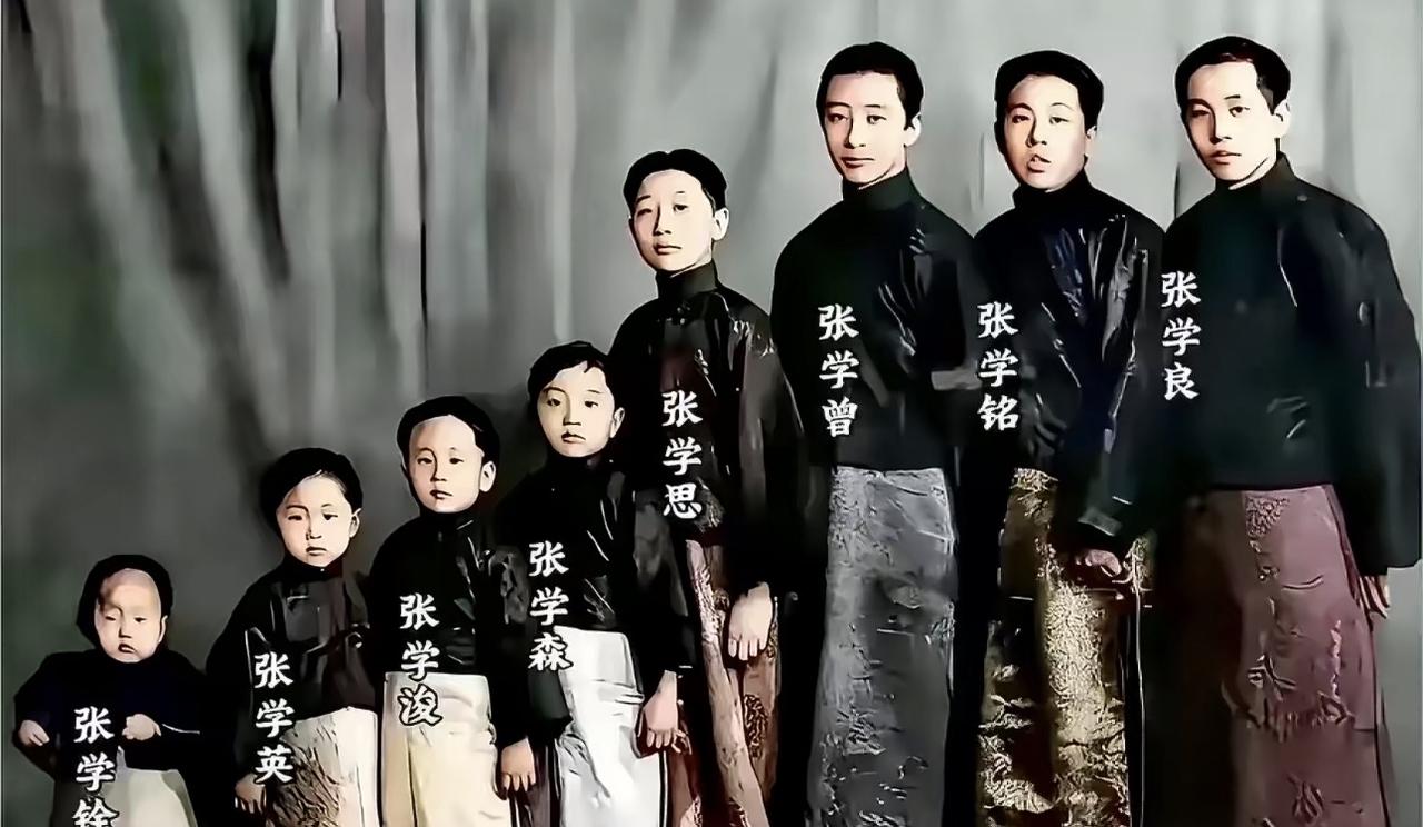 哎我去！张作霖八个儿子那？除了张学良，都没咋听说啊！而张学良还被幽禁了大半辈子。