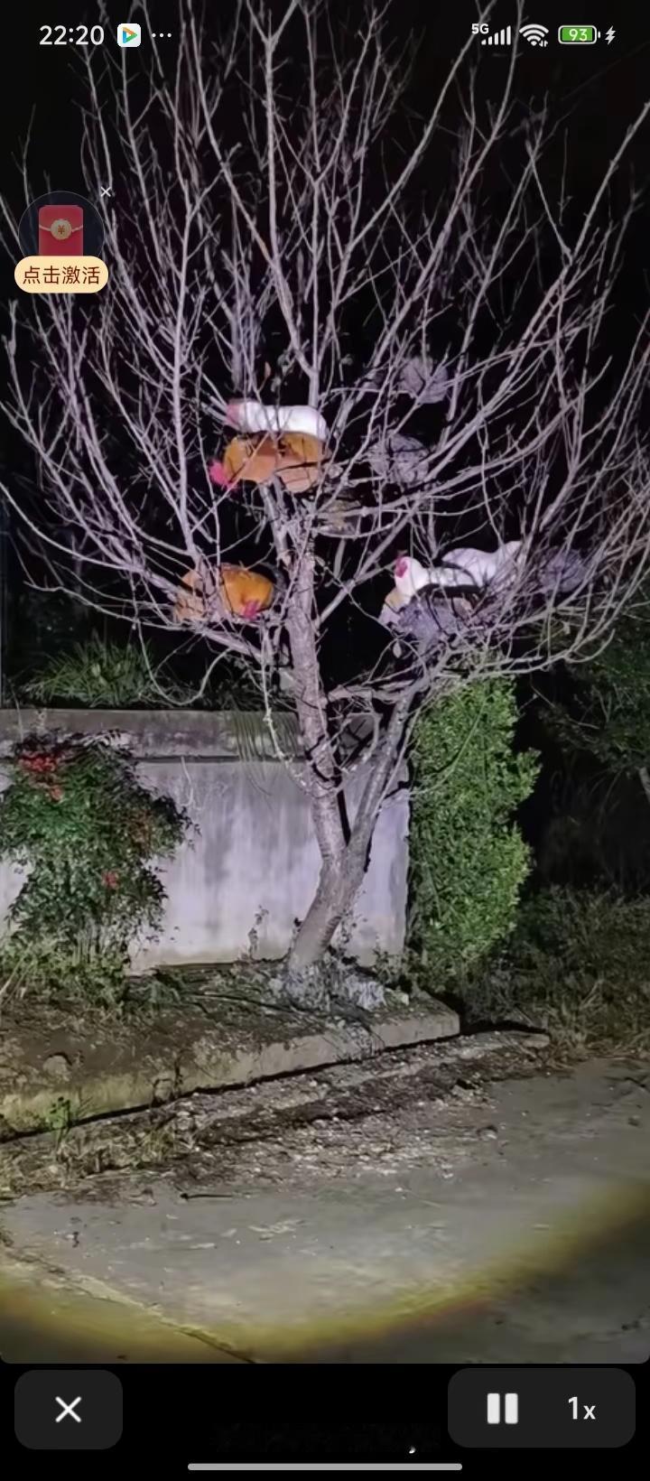 鸡能不能在树上睡觉？
        董永辉在直播中说，鸡在树上睡觉，结果被一众