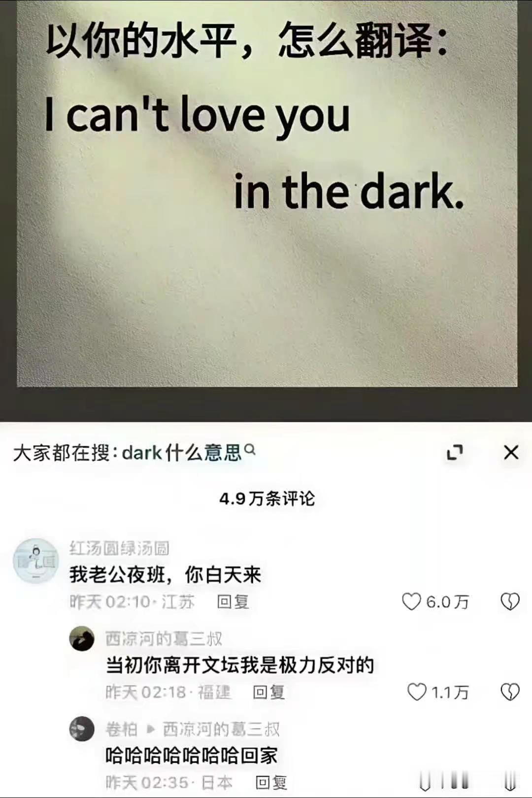 以你的水平怎么翻译