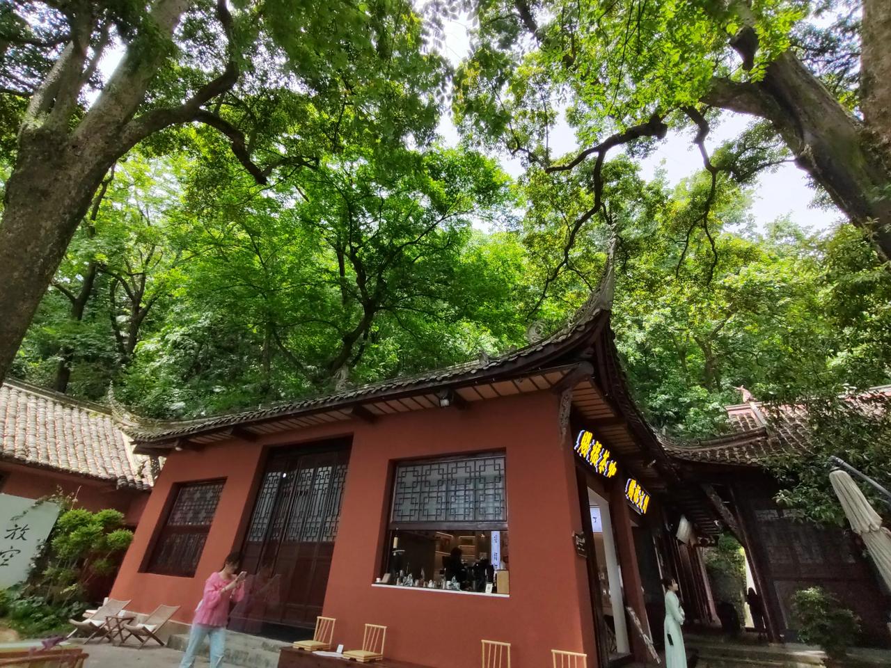 都江堰玉垒山上喝茶金丝楠木下吹风惬意凉爽

五一小长假我们决定到都江堰溜达玩耍