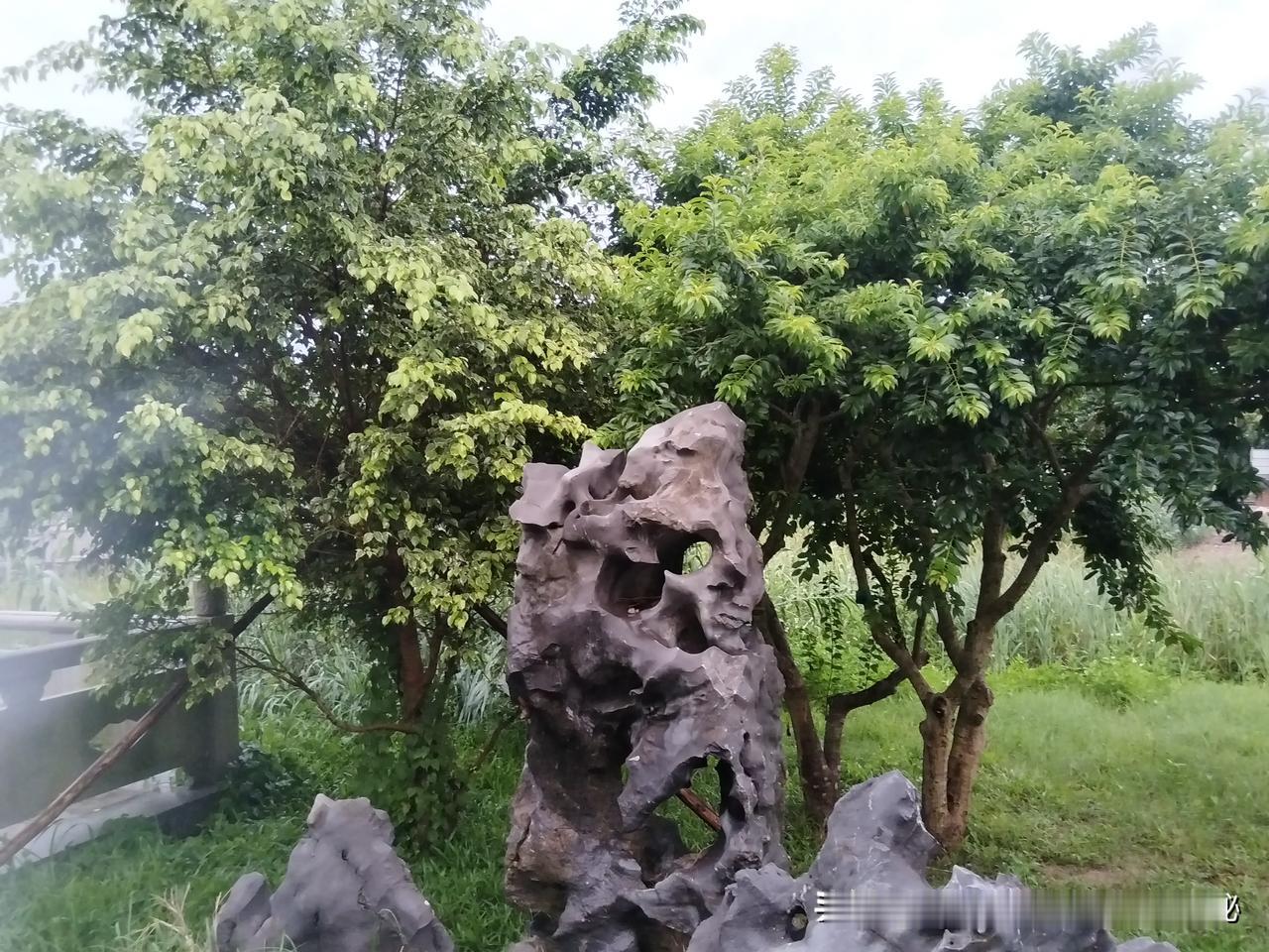 熏醋可以预防感冒吗？夏日里最实用的方法之一

夏日的午后，阳光透过窗帘洒进房间，