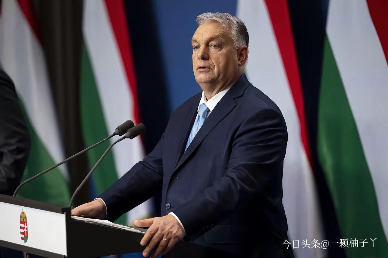 匈牙利和斯洛伐克都靠着“友谊”输油管道过日子，可管道一停，两国都有点扛不住。乌克