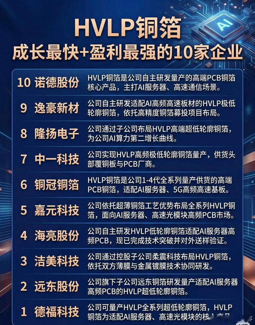 HVLP铜箔领域成长最快、盈利最强的10家企业10. 诺德股份HVLP铜箔为公司