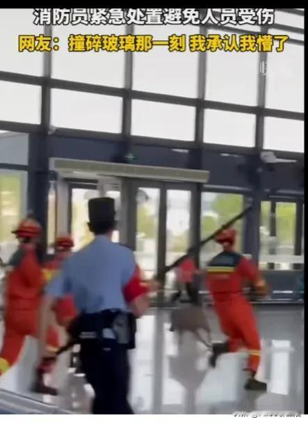 一猪二虎三熊
江西有野猪跑下山
消防叔叔工具齐全上阵
没想到野猪夺围而出
一跃穿