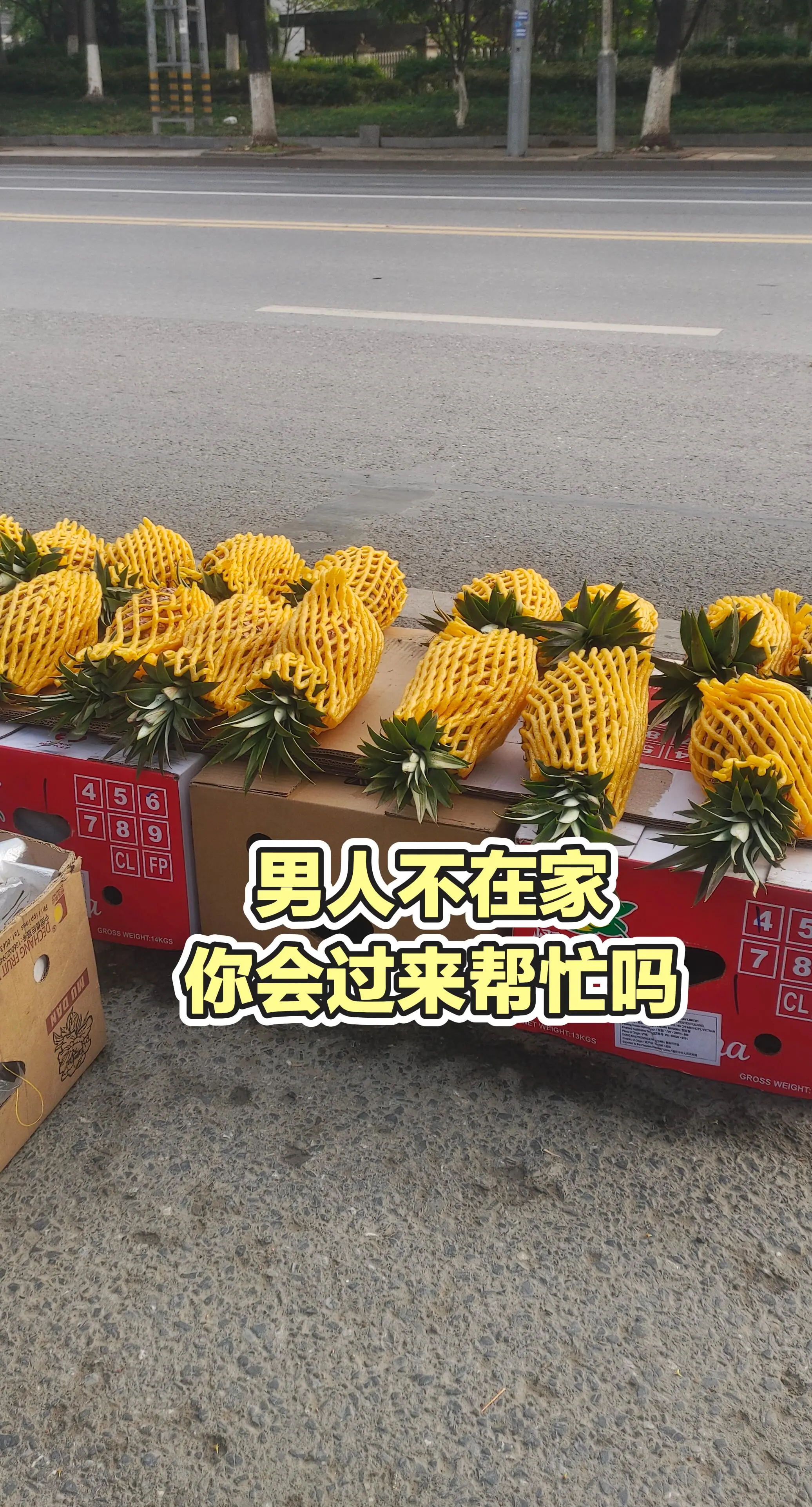 每日分享