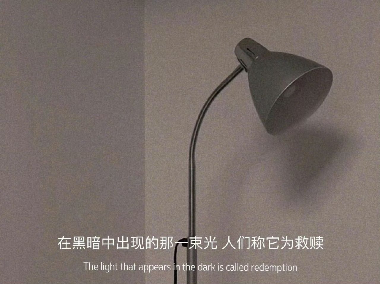 “猪到死都不明白，手拿尖刀杀它的人和给它一日三餐的人是什么关系！世人也总执着，不