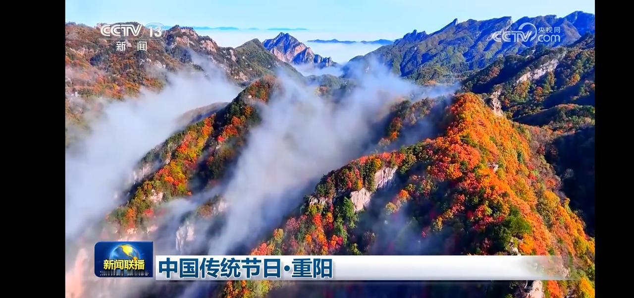 九九重阳，孝行天下，多彩多姿。