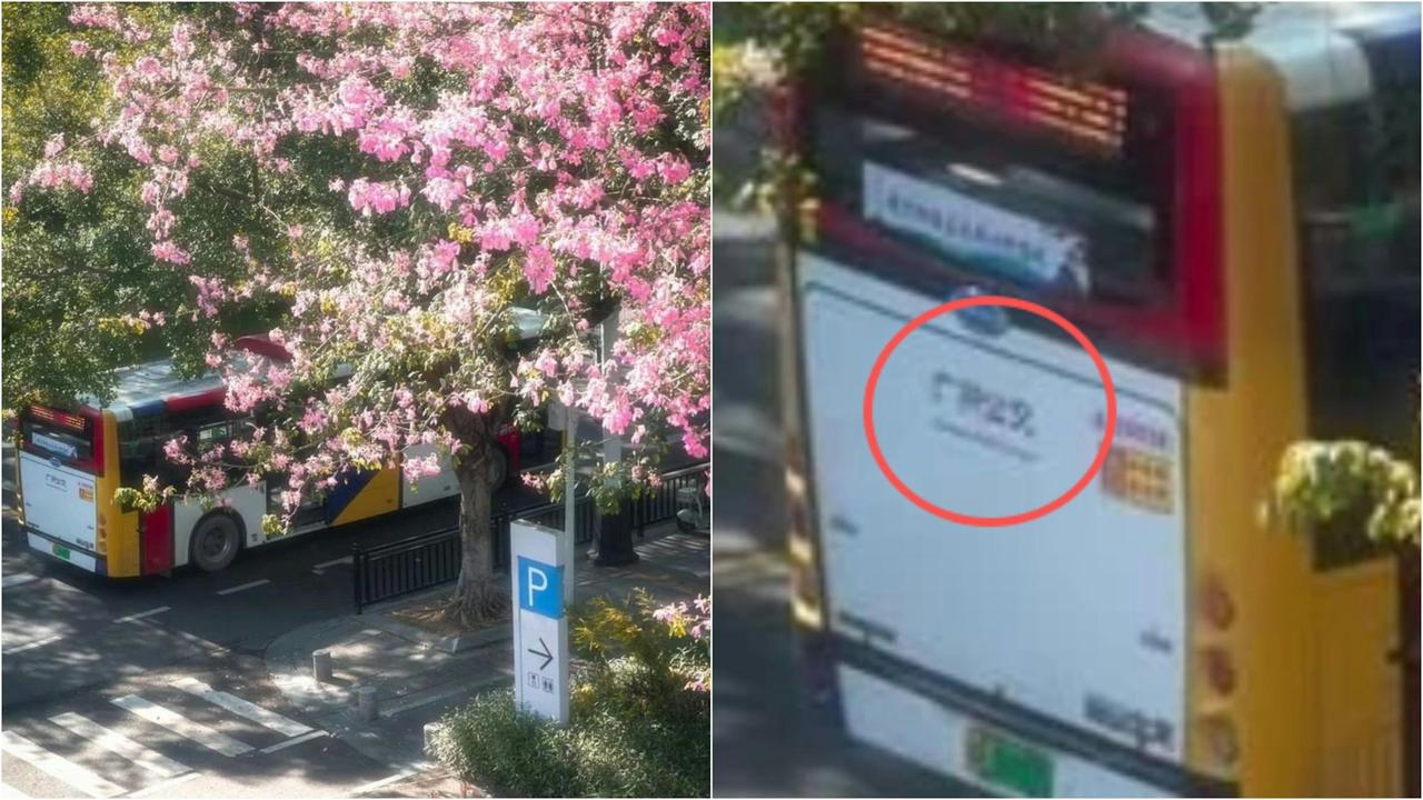 谁能笑到拍大腿？
韩国网友偷了广州摄影师的原创街景图，
直接当成首尔钟路区风光发