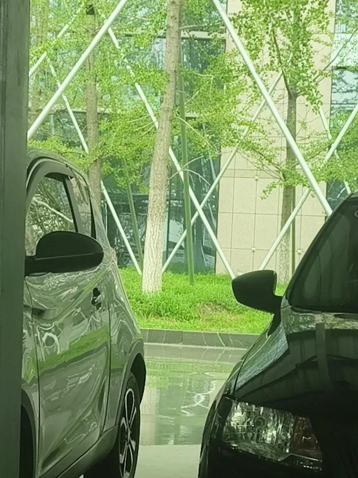 下午2点整，山东鲁西南兖州区终于下雨🌧️了，一上午的闷热，一点风没有，下午到夜