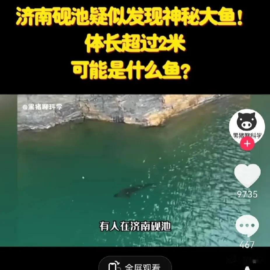 济南砚池出现的神秘大鱼是什么鱼，有人专门做了三个视频解说，一顿乱扯后结论：那么你