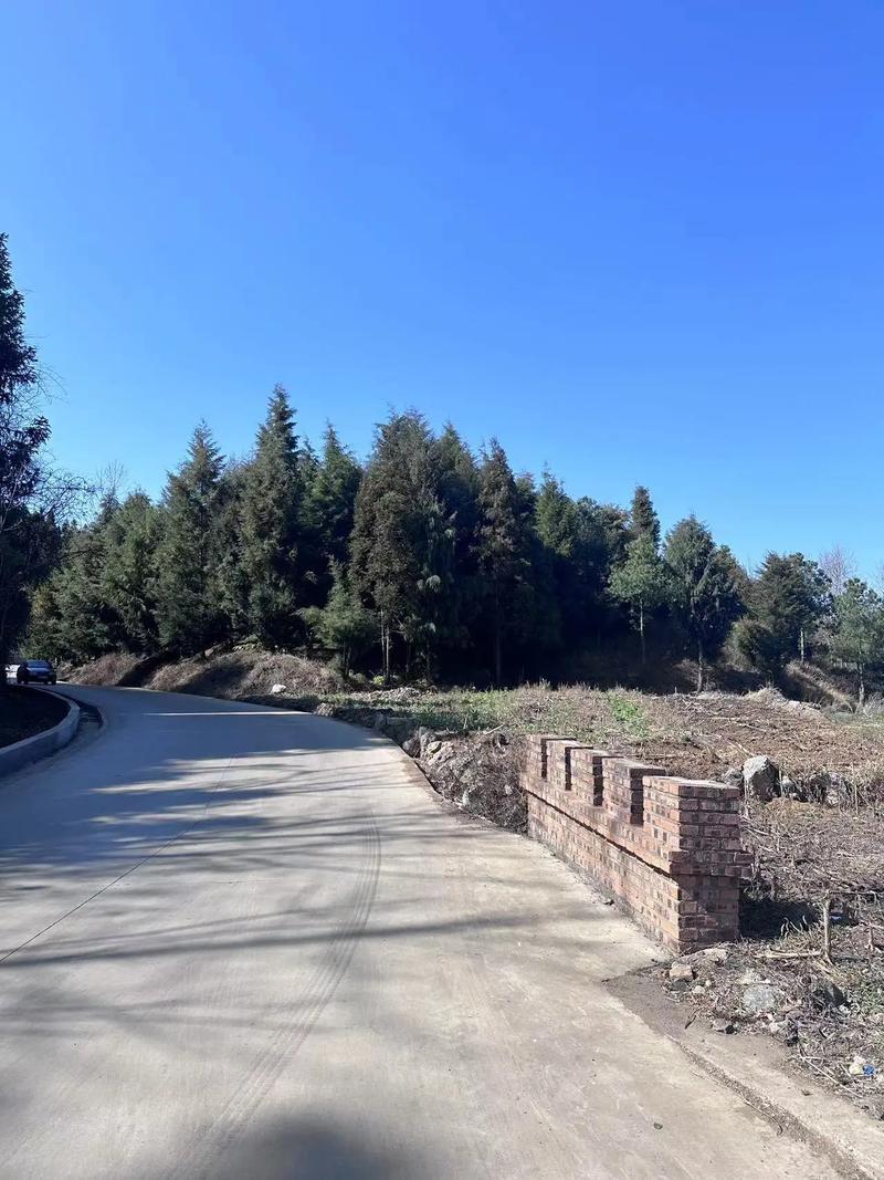 这是我过年这几天，心里重复最多的一句话。

三叔家儿子跑大车，以前觉得这活儿太苦