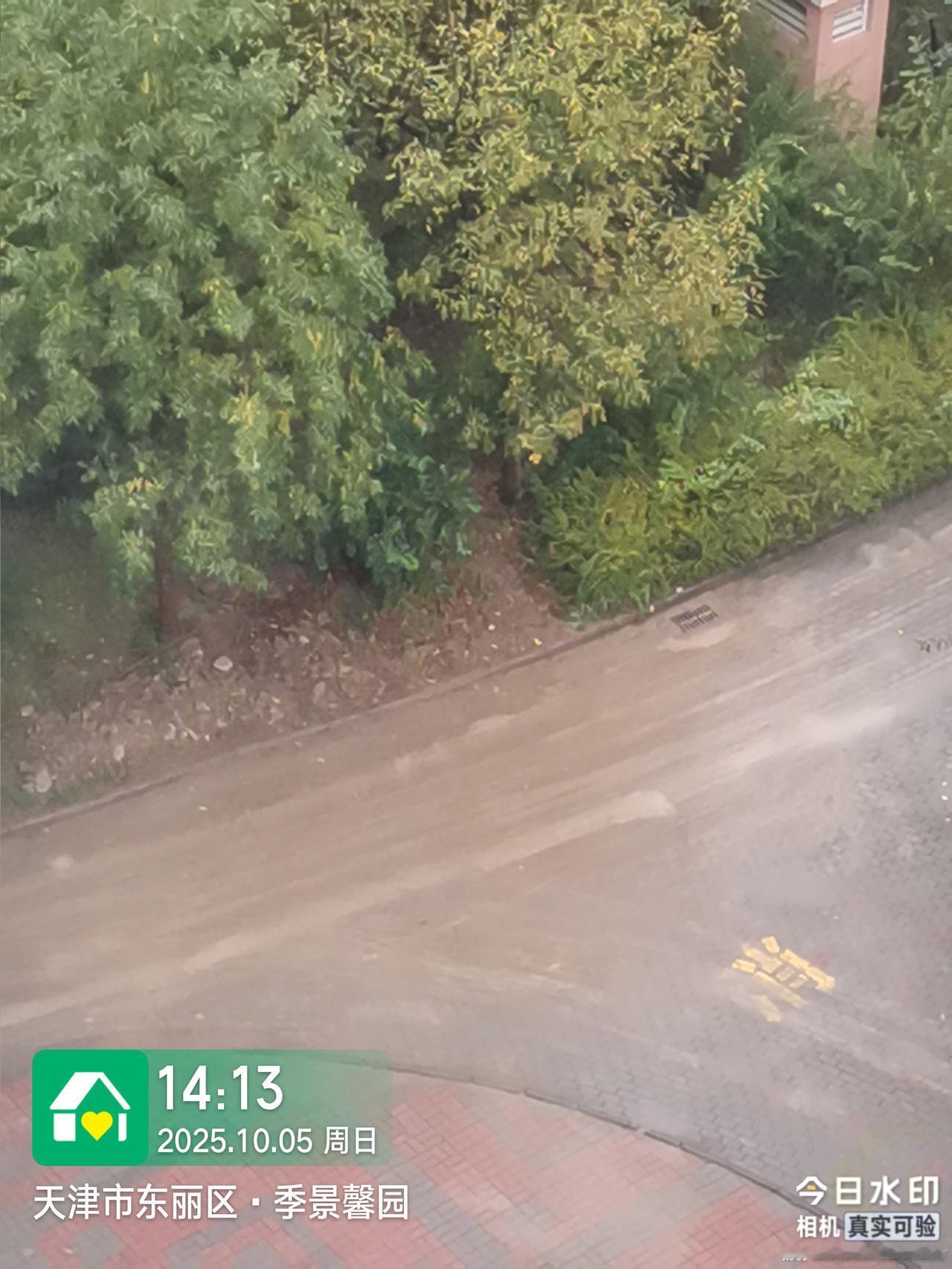 我们小区内路面跑水塌陷物业人员重新铺上地砖，没有按照标准工艺执行—表面铺沙土，现