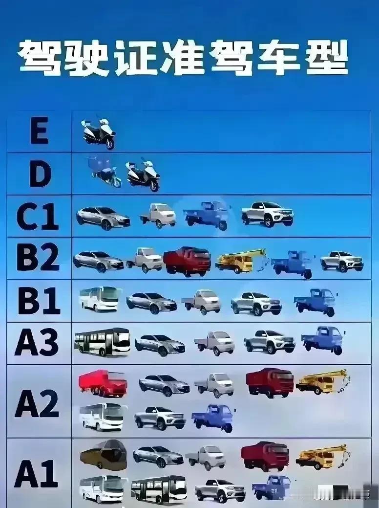 终于有人把驾驶证准驾车型整理出来了，赶紧收藏起来备用吧！
