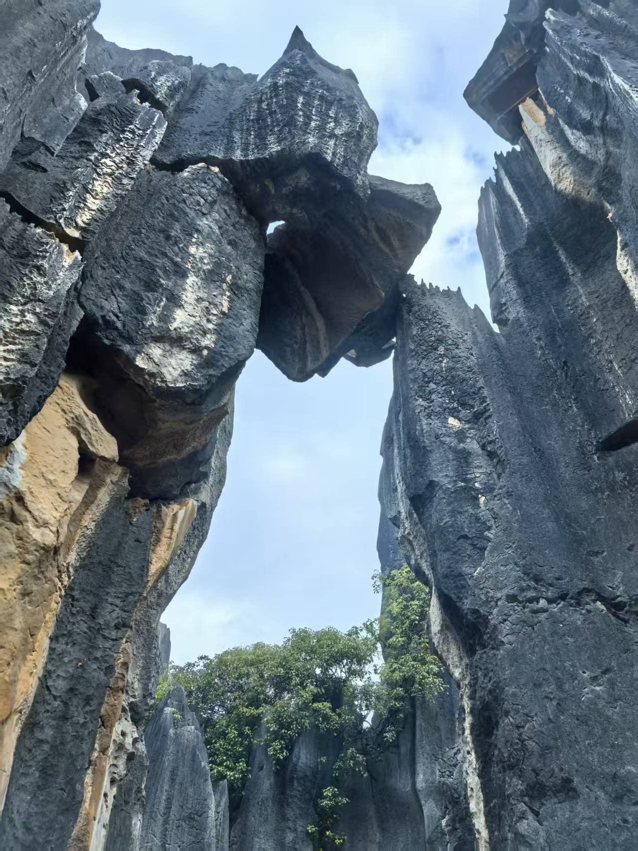 石林
