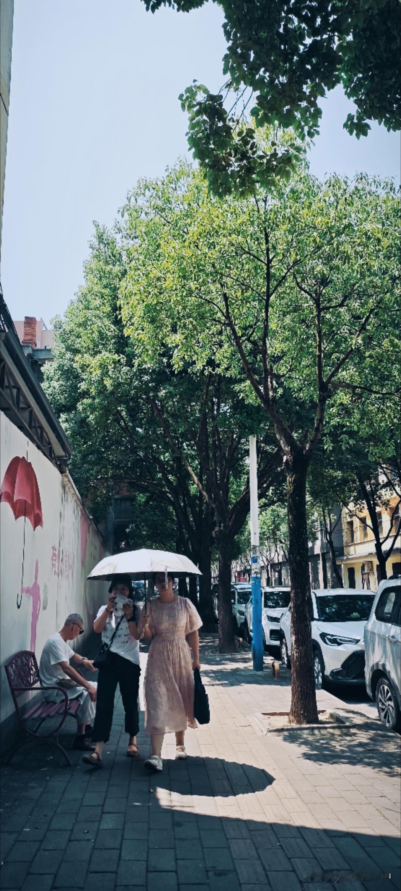 盛夏伏天，天蓝如洗，谁不爱清凉。凉，是一种感受，痛快且舒服。只是三伏天走在路上，