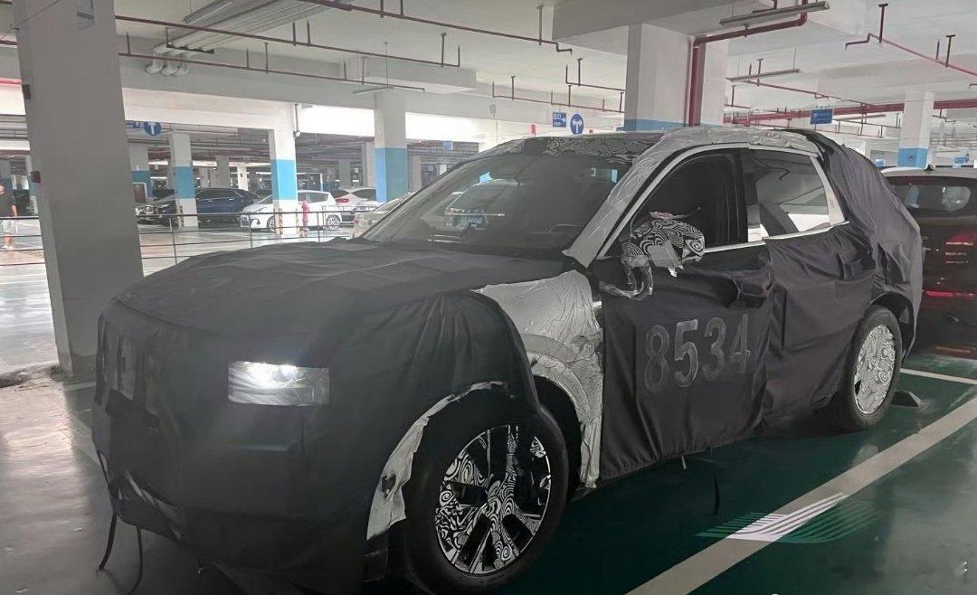 极氪8X大V聊车 极氪9X马上出了，现在8X兄弟也蓄势待发[不愧是你][不愧是你
