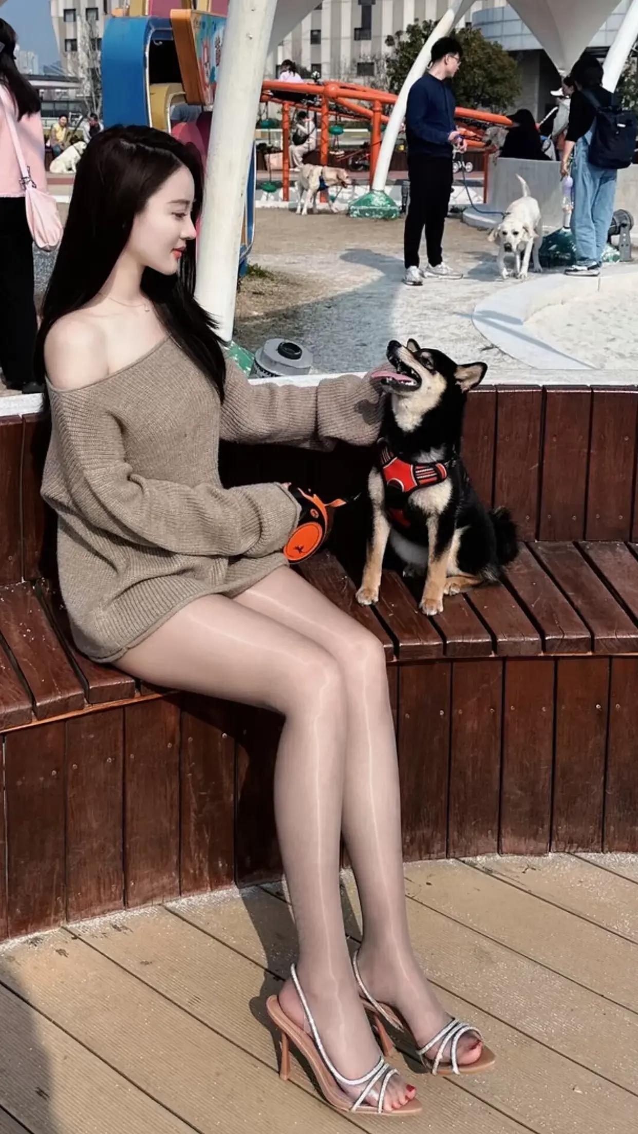 阳光明媚的午后，与狗狗的温馨时光🌞🐾