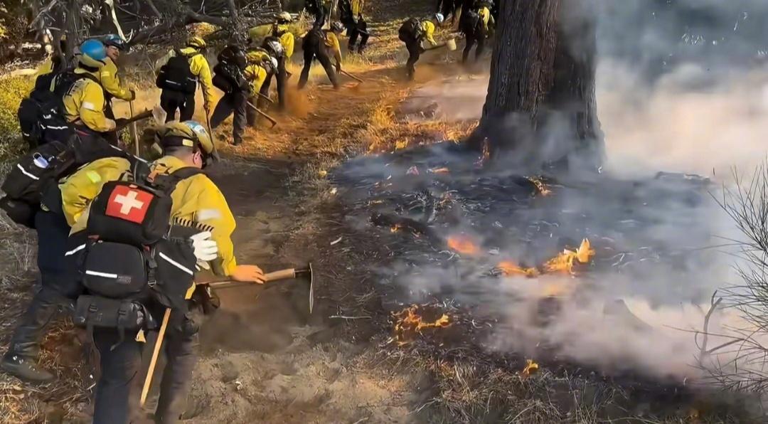 洛杉矶山火爆发 洛杉矶山火现场，一群消防员在围着一棵大树挖土刨坑建隔离带，这点火