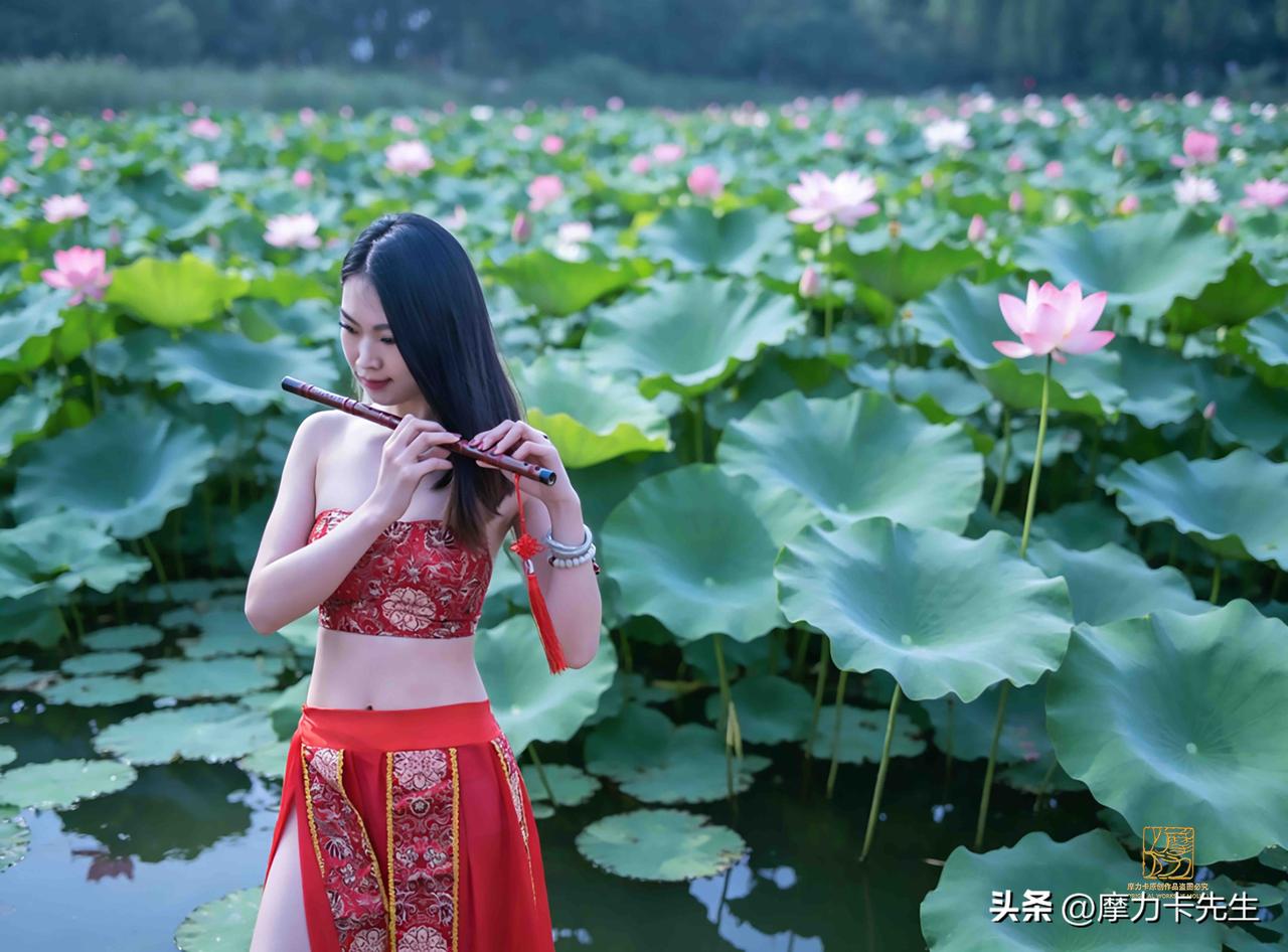 一池荷风绕竹箫，红衣映水，清音漫过青盘。
夏日藏一捧温柔，吹尽人间喧嚣，只留荷香