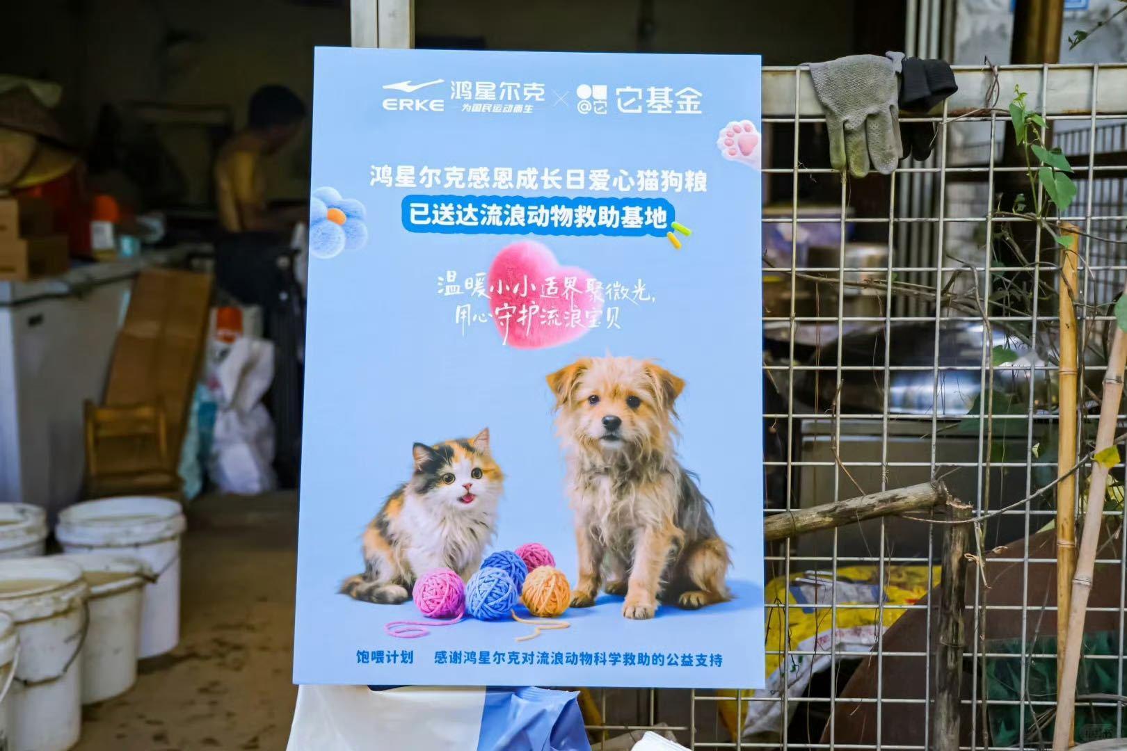 鸿星尔克店内收留流浪猫狗高温天鸿星尔克门店特意留缝，任由流浪猫狗进店乘凉避暑，从