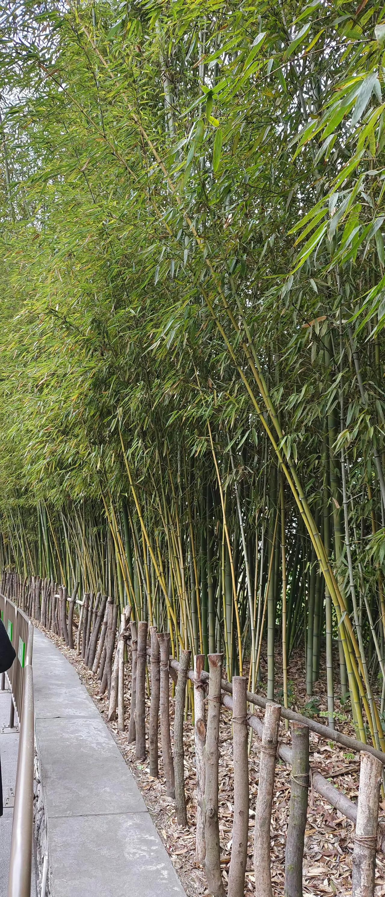 改变心性最大的变化，看起来年轻了，脸上手上的皮肤细多了，还有脚底板的粗糙都没有了