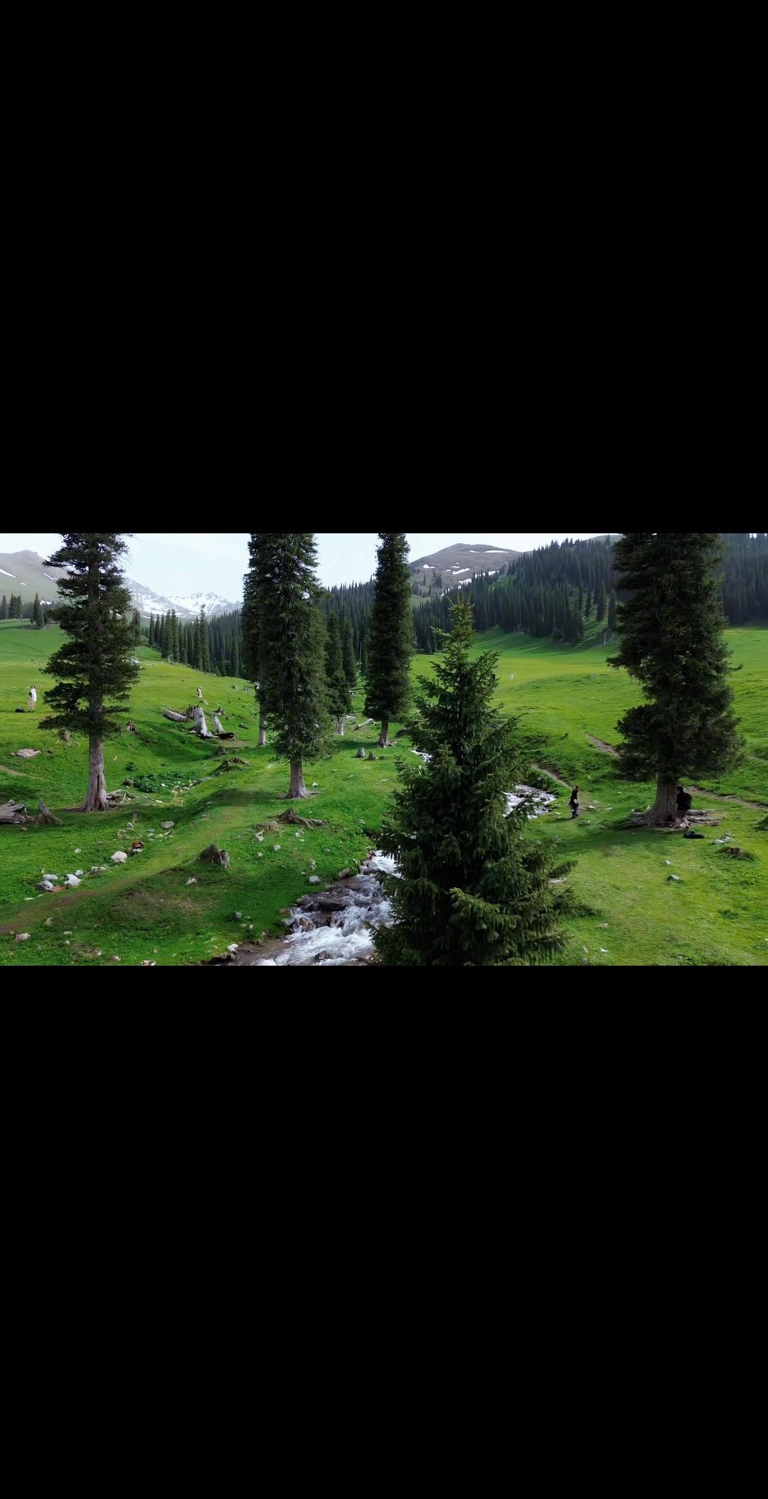 “寒门无台阶，一步一血印” 说一个非常反直觉的事情 都说穷人的孩子早当...