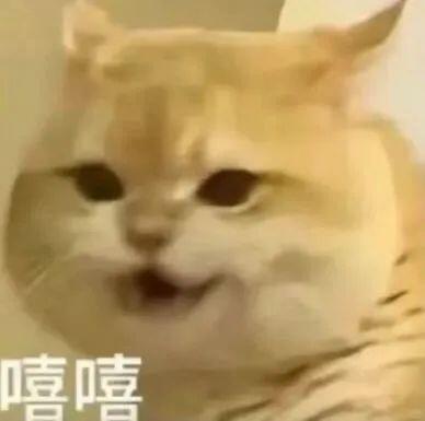京东国补更便宜 国家补贴加持，折上折的快乐谁懂啊～跟着代言人张艺兴的脚步，这波羊