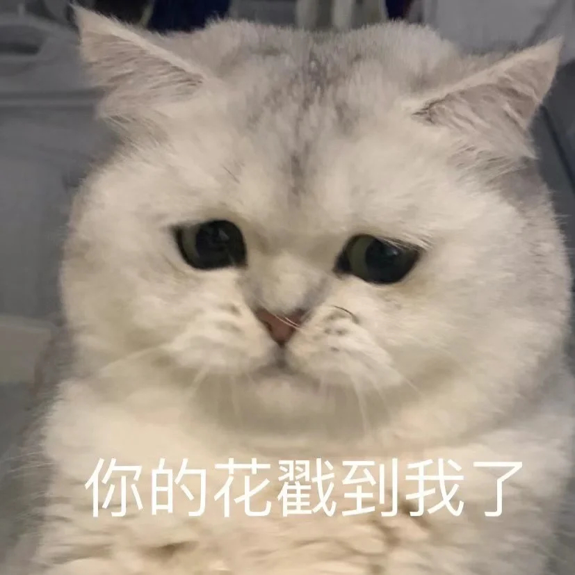 讨厌你们这些有恋爱谈的人[怒]#删了吧我有个朋友破防了# ​​​