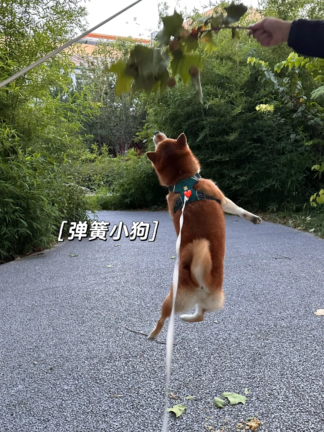 我们五岁啦🎂