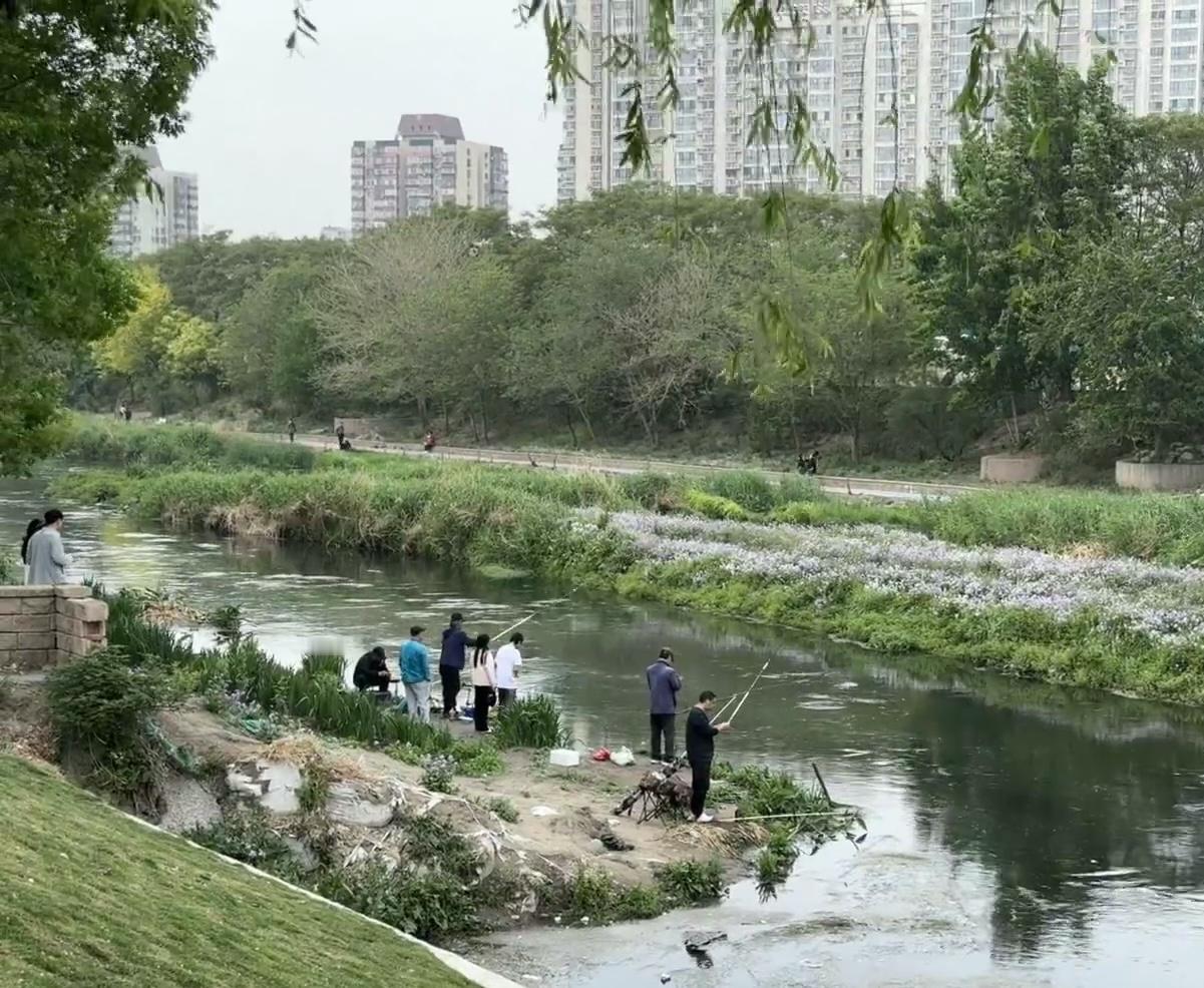 退休老头的抠门功夫那叫一个绝！我们小区老李头，退休金七八千，过的比计算器还精细。