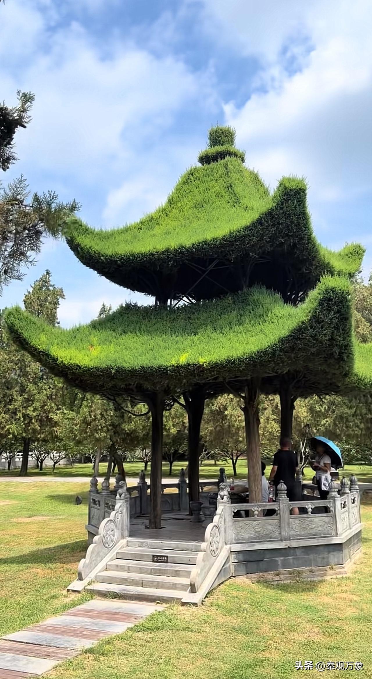 这可太神奇了，以四棵树打造的凉亭
河南周口淮阳区太昊陵景区前人栽树 后人乘凉