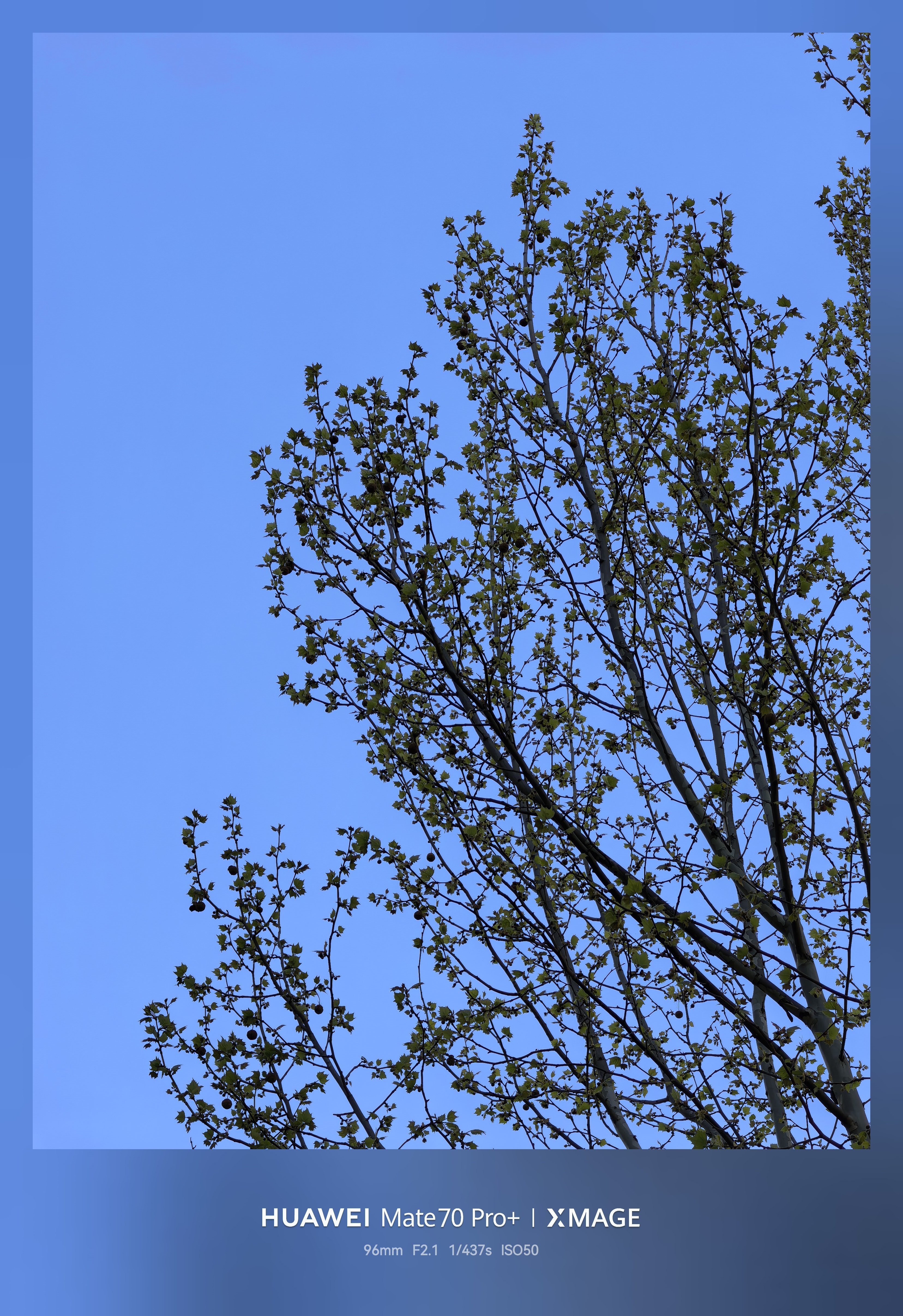 早～都起了吗？ 周末去哪耍？ 