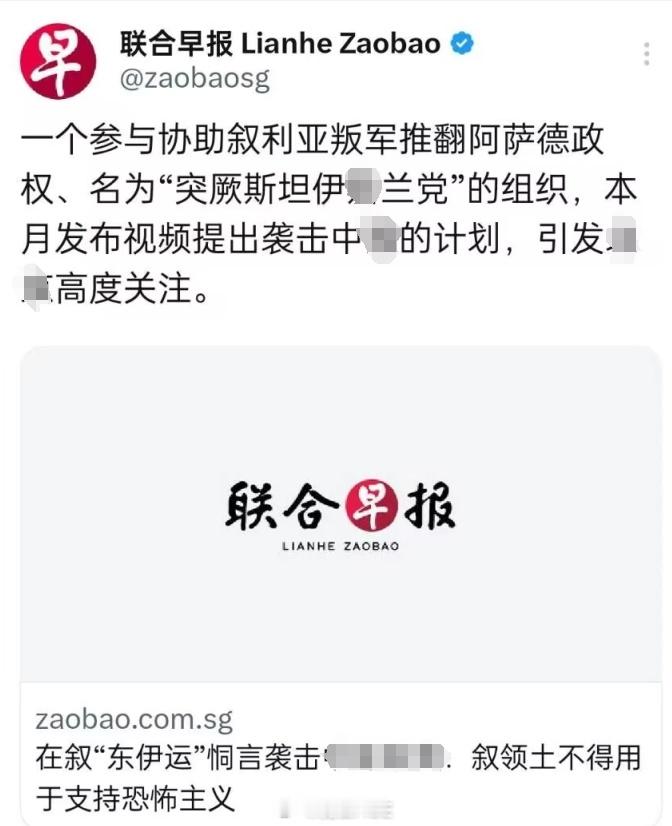 看，我文章一直称这群叙利亚HTS为“沙姆匪帮”没毛病的吧！什么狗屁解手组织，合法