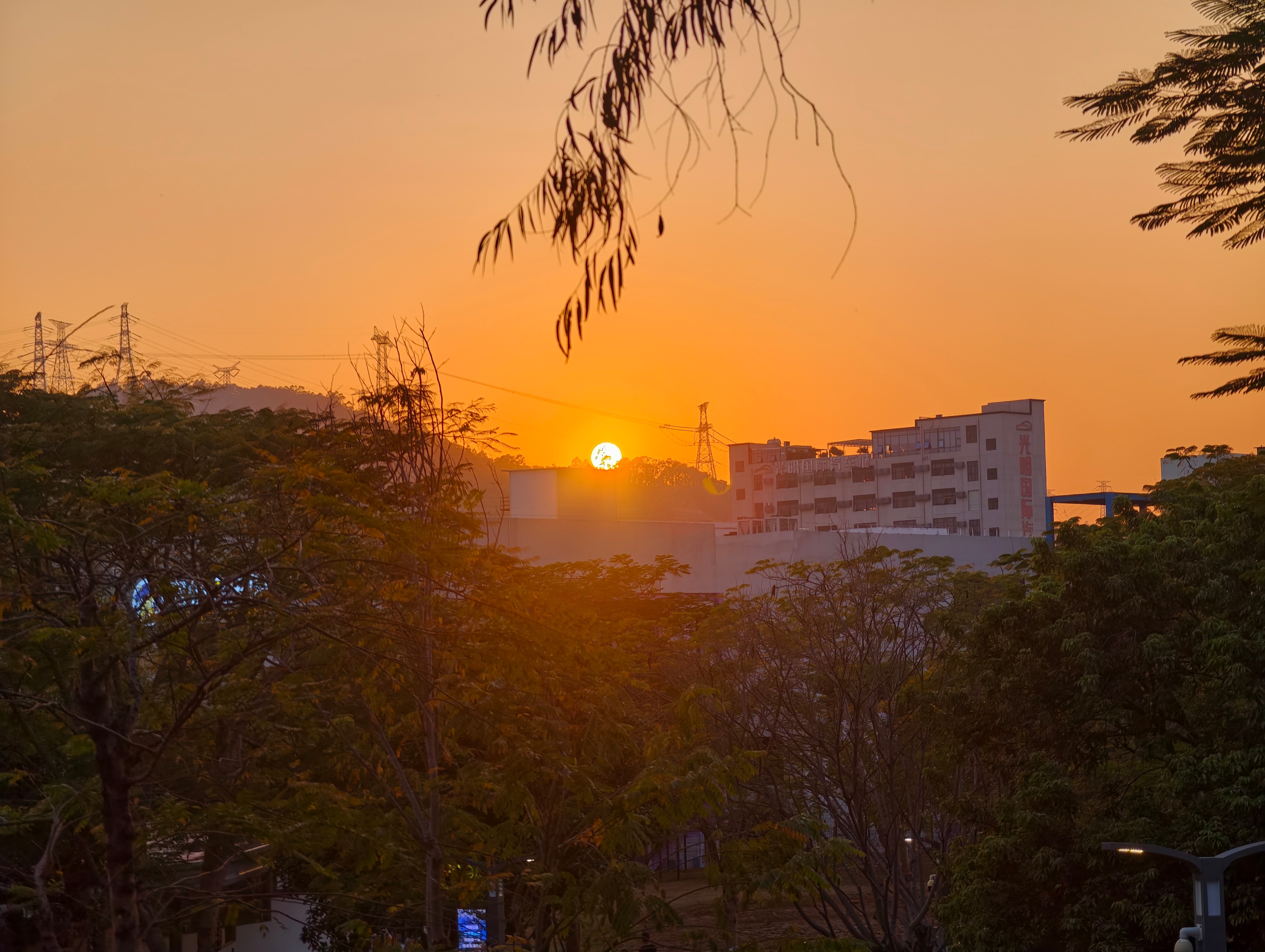最近应朋友邀请，体验了vivo X200 Ultra的不同拍照模式。大家猜猜哪个