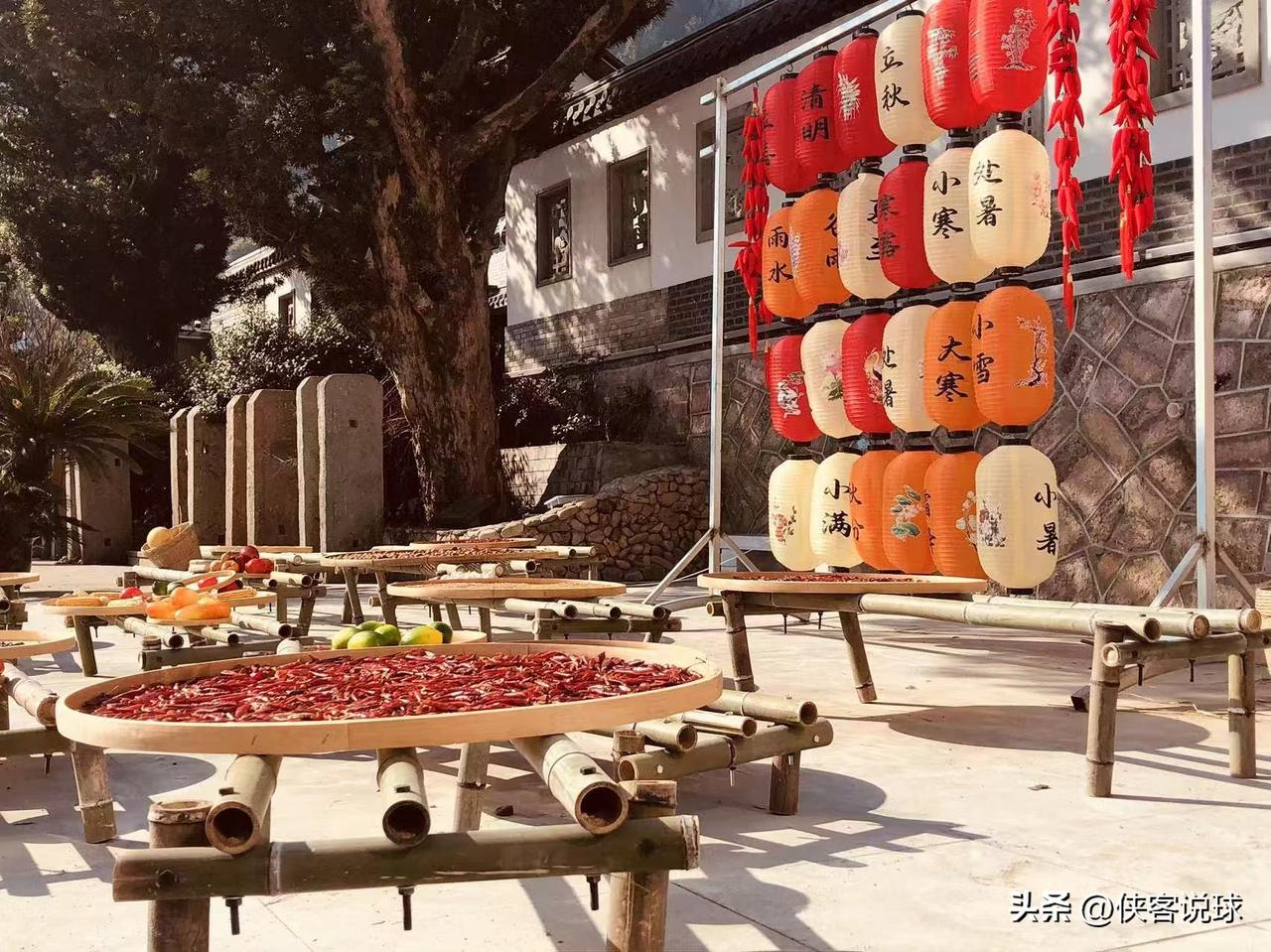 随手拍下初夏美景这是初夏的美景，一步一景，幸好也很和合，洋溢着夏天的朝气，以及人