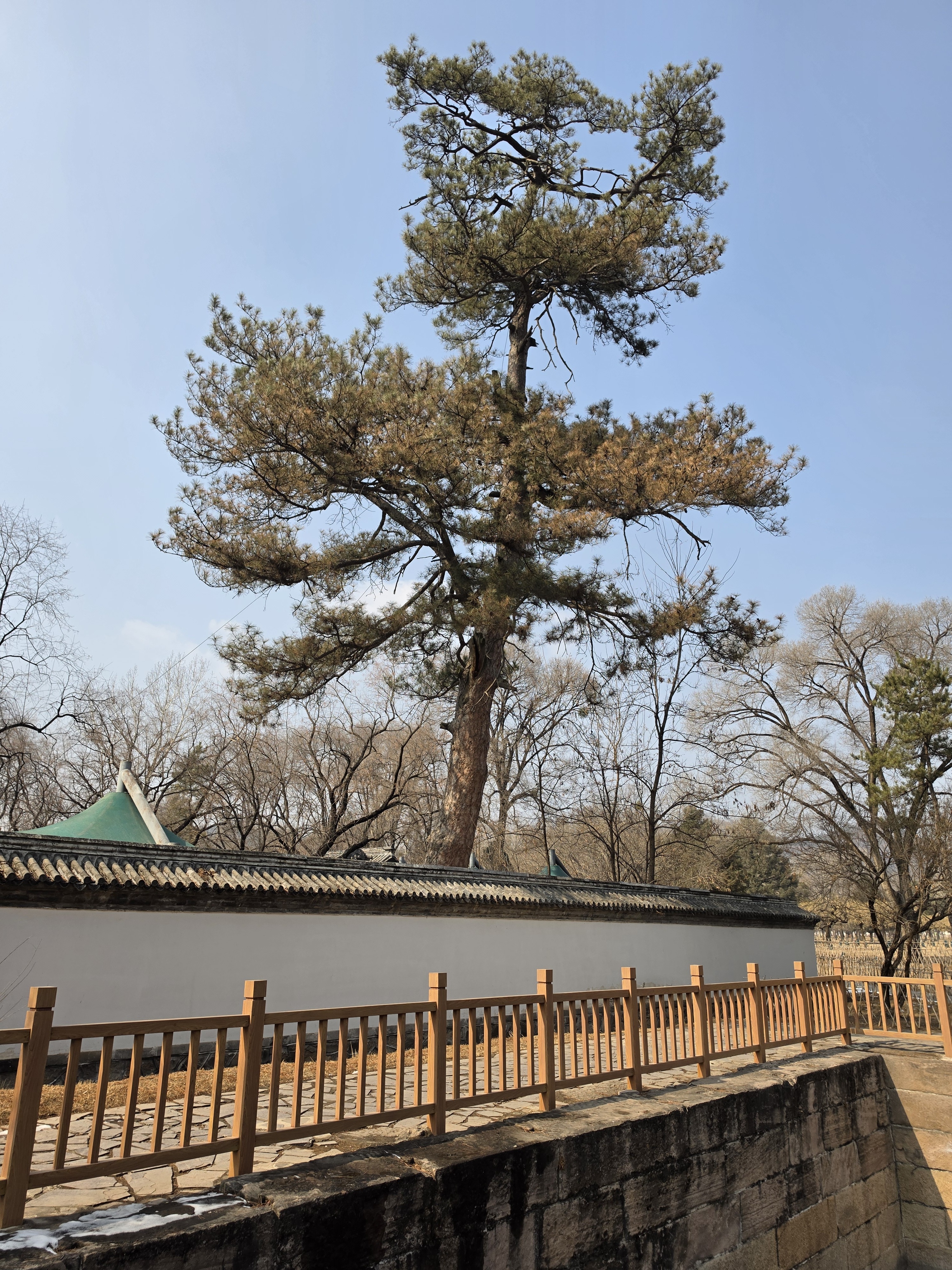 来承德避暑山庄溜达一圈。有人来过吗？ 承德·承德避暑山庄