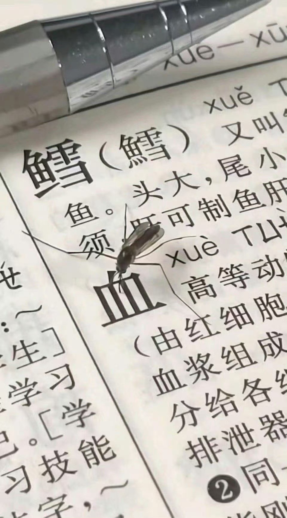 喜欢二次元 ​​​