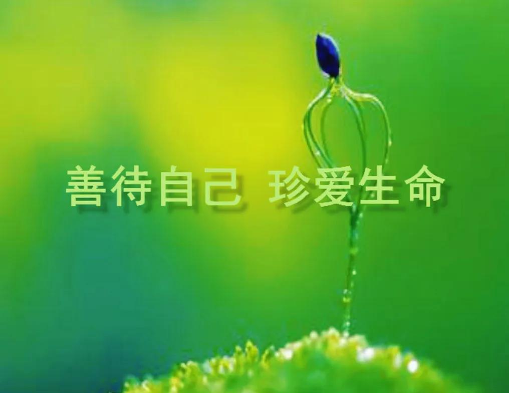 #怎么才算善待自己#

在身体上，要保持健康的生活方式。例如，保证充足的睡眠，让