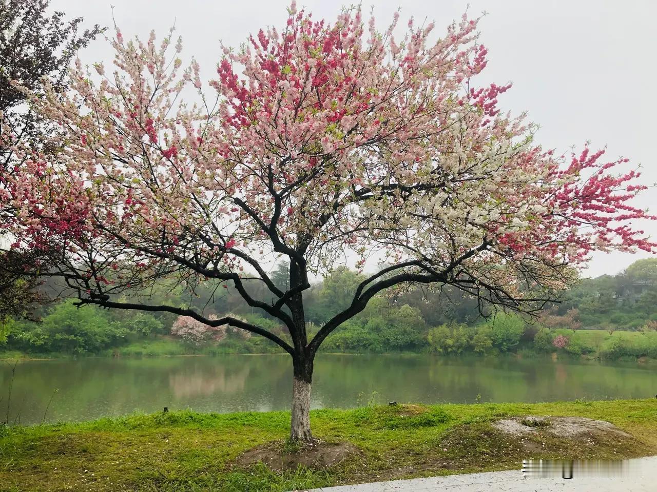 男人离开女人，
只是攒足了失望；
女人离开男人，
只是发现了新人。
不要说都是你